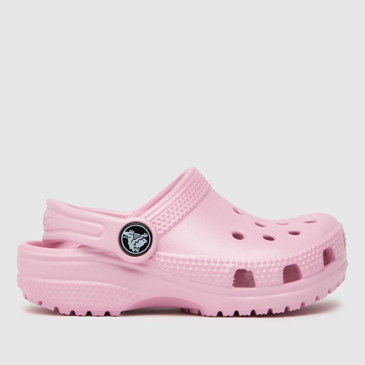 Trending product as crocodile shoes